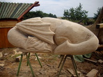 Drache
